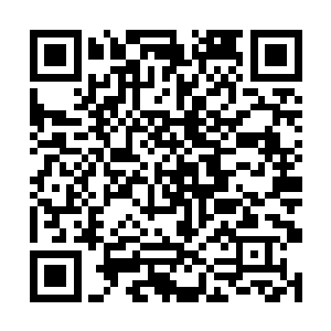 所以想要恢复万法金胎的伤势只需要足够的能量就行二维码生成