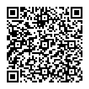 所以成天在房屋中介公司的落地玻璃隔断里面走来走去穿着ol白领装的销售姑娘也不少二维码生成