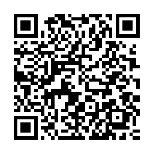 所以我们县里在洼崮和太和启动了一期万亩中药材种植基地建设二维码生成