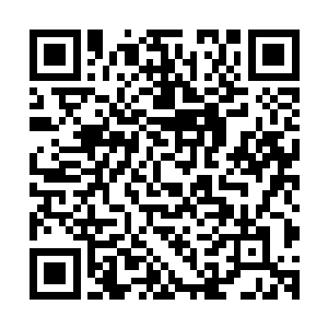 所以自己体内的该隐精血才会在感受到狼人的存在后直接爆发二维码生成