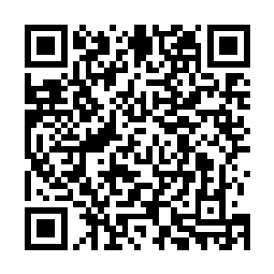 所以说进入娱乐圈的时间说起来比东方神起还早几个月呢二维码生成