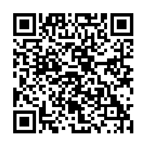 扎伊德总统临时决定今晚在总统府里举办一场宴会二维码生成