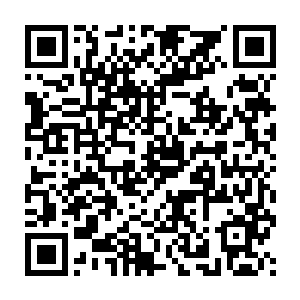 打啊打得又操起家伙~~实在不够爷们~~虽然你爷们起来也不是我对手~~二维码生成