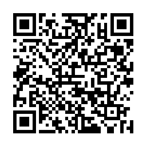 托尼老板从怀里拿了一管机器人用的能源管放到西格玛手里二维码生成