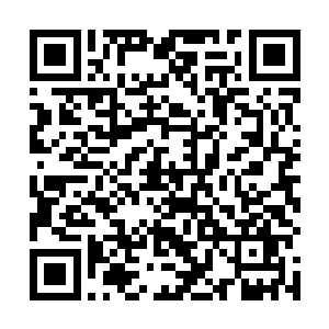 把压在几十份表演系学生资料表下面的一份文件抽出来二维码生成