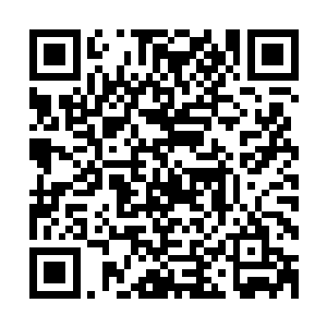 把小手背在身后准备继续下把再出石头的囡囡理直气壮的说道二维码生成