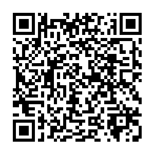 抱有最后一丝希望的李浩民还是告诉了美国和日本区的玩家刚刚发生的情况二维码生成