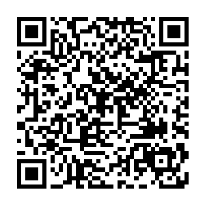 拥有着纯正血统更能让他们得到族群先辈一代代储存在血统中的各种东西二维码生成