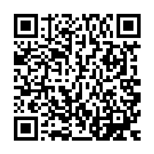 据说三叶丛林公司在中非等地还有一些不公开的秘密军事合同二维码生成