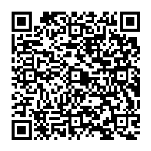接下來　不管我说了什么　你信也好　不信也罢　但我会保证　我说的绝对都是真的　二维码生成