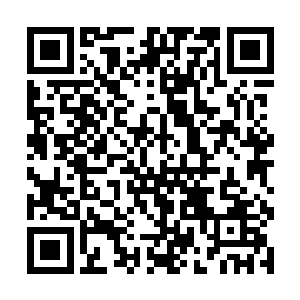 接下来我们还会为世子智能系统添加更多的功能接口二维码生成