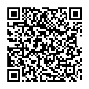 接受了朗基奴斯枪本体力量大幅度灌注的投影之枪也渐渐变得更加凝实起来二维码生成