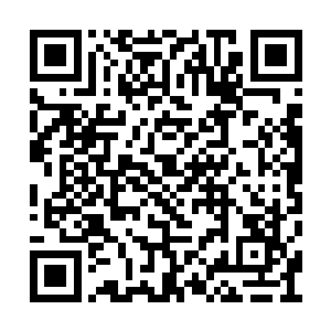 接着他们又从张家祠堂中拿出了粗厚无比的棍子二维码生成