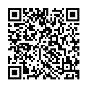 接着国民代表大会选举已辞去陆军司令的蒙丹将军为临时总统二维码生成