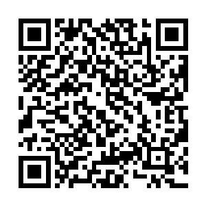 旋即体内的本源魔力宛若滔滔江水一样涌向去全身经脉之中二维码生成