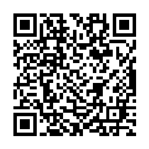 明天的表演嘉宾名单之中还可以看到电台司令的名字二维码生成