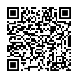 星神宫镇宫之宝五色宝塔即将开启的消息果然在枫林城传开了二维码生成