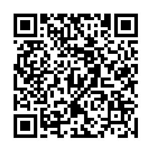 是你们信任和照顾的小弟――逐流是我看这长大的孩子二维码生成