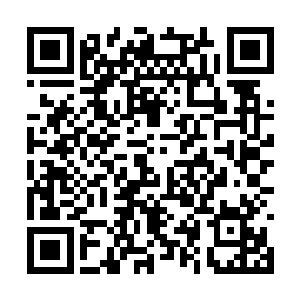 是放任你发展到至今……让我也沒有把握能赢了你二维码生成