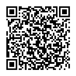 是来自太后和衡王的压力又令福王根本不能对内部做些什么增添威望的事情二维码生成