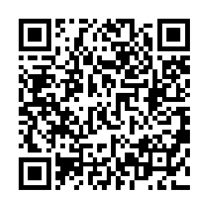 更何况他自己的公司的园林苗木基地就在西塔的西峰山区中二维码生成