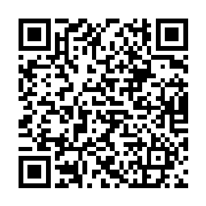 更何况我已经将赵老爷子的仇恨值满满都吸引走了二维码生成
