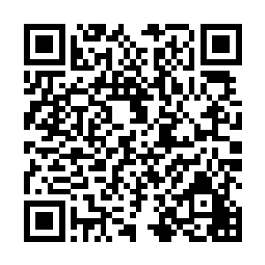 更别提其中还有像异形基因和暴君基因这样的强势基因二维码生成