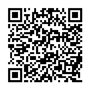 更多只能刻画人物的细腻表演以及丰满剧情而已二维码生成