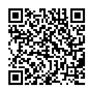 最主要的原因就是土地出让金及房地产业税收带来的巨大收入二维码生成