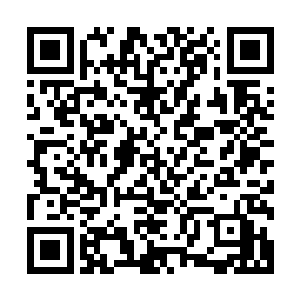 最后也的确和金在珉预估的那样他成功偷袭掉了金钟国的名牌二维码生成