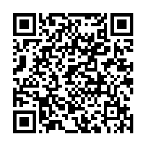 最多只能从庚金宫内得到少量蕴含百种庚金天道变化的本元二维码生成