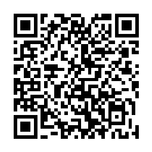 最近世子智能系统陷入信任危机在网络上被炒的沸沸扬扬二维码生成