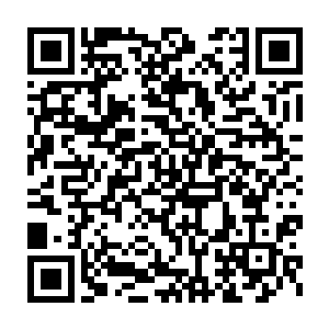 有点小不情愿却还是会看着王若萍面子上会便宜卖给王慧丽的模样二维码生成