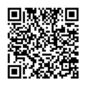 望着拿着智空大师的金色禅杖施展疯魔杖法的铁小虎二维码生成