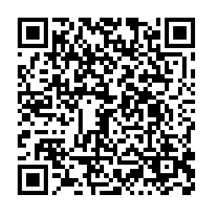 木桑让我从他挎包最外侧取出一黄裱纸包裹的丹丸塞进倪力妻子嘴里二维码生成