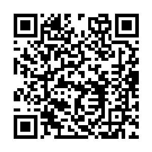 木萦此时已经确定他是因为灵气不足才有此表现了二维码生成