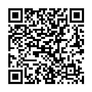 本尊刚才仔细琢磨了一下界主让界使传达的旨意中每一个字二维码生成