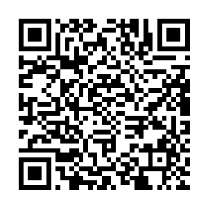 本来他还以为这一次的任务只是简单的护送任务没有多少的油水二维码生成