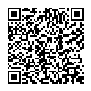 本来准备等大家都练得差不多后就把能练出气流的方法交给真正忠于九原的战士二维码生成