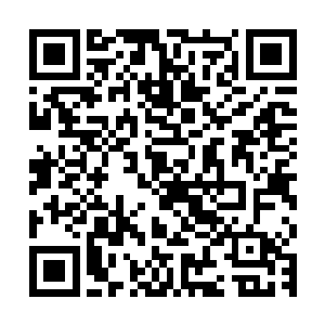 本次参与会谈合作的中法所有企业都自动成为这个促进会的会员二维码生成