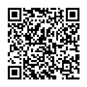 李蘭枫全心全意真诚的付出以及优秀的表现终于有了收获二维码生成