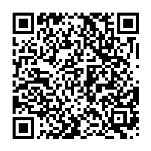 来到金乌城后就一直在等着他们随身携带的那个遥感通讯水晶传来的命令二维码生成