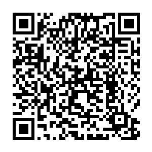 来自全国乃至世界各地的礼物也是每天都源源不断地寄到庄园和王宫二维码生成