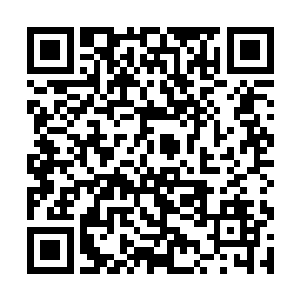 杨小勇几个倒是非常乐意看到杨风和杨轮回接受传承二维码生成