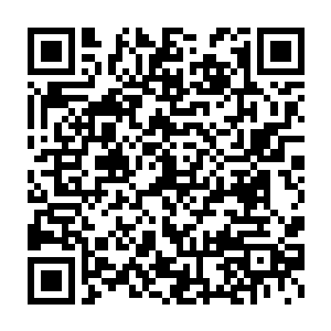 板子都是要打到尚权智和童云松尤其是尚权智这个市委书记身上的二维码生成