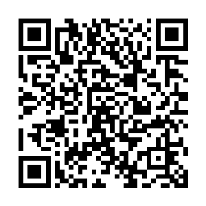 林东炫耀他可是在香港u旗舰店很捧场的定制了一块199999的镶钻e二维码生成