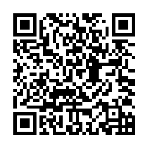 林放还沒有自大到如今凭借自己的实力可以足够动摇政fu的政策二维码生成