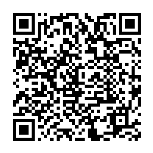 梨花洞天的生灵在小乾坤中繁衍生存可以持续不断地增强小乾坤的底蕴二维码生成