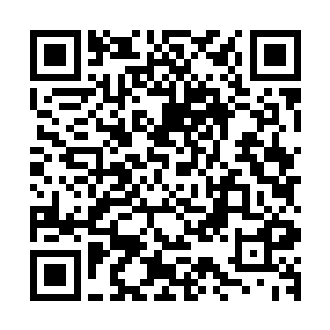 楚旬等人也立刻感到体内那原本消失的力量也重新涌现了出来二维码生成