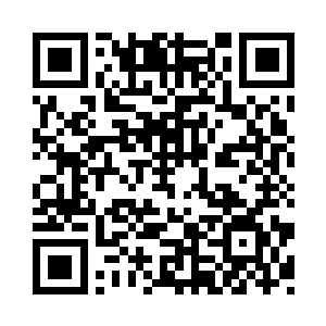 楚枫小友的确可以帮我争取一个机会二维码生成